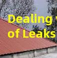 Dealing with Roof Leaks in Multi-Family Units